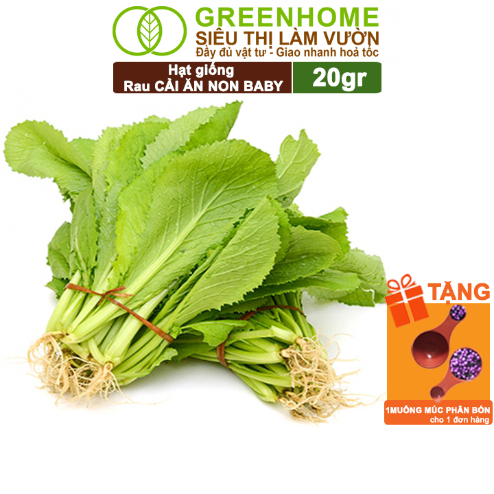 Hạt Giống Rau Cải Ăn Non Greenhome, Gói 20g, Dễ Trồng Quanh Năm, Nảy Mầm Cao, Thu Hoạch Nhanh, Năng Suất Cao R05