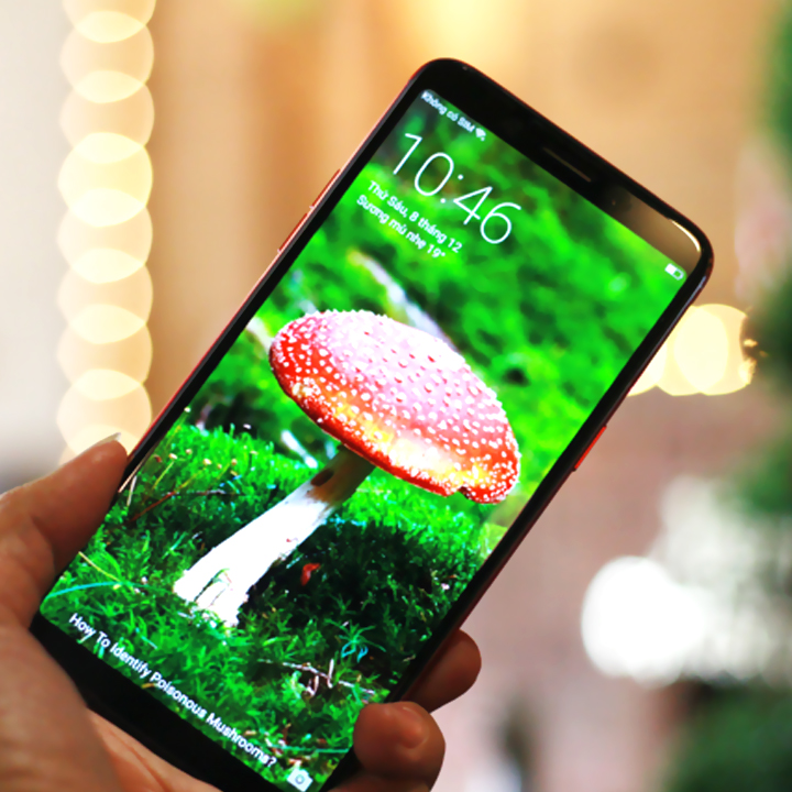 Kính Cường Lực Cho Oppo F5 - Full Màn Hình - Màu Đen - Hàng Chính Hãng
