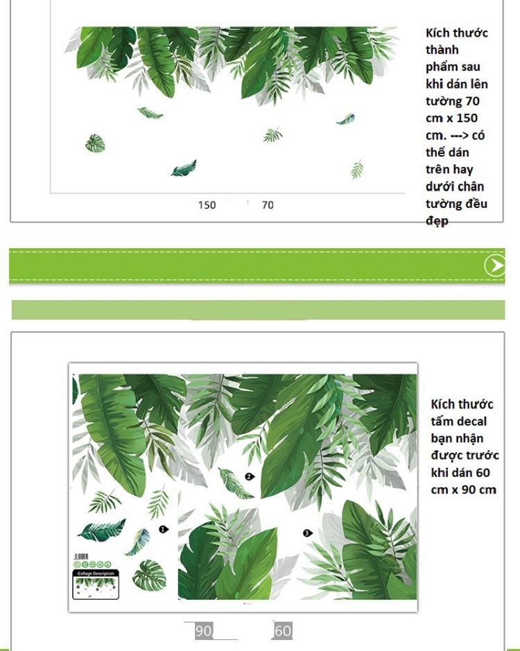 Decal dán tường khung tranh lá xanh green life