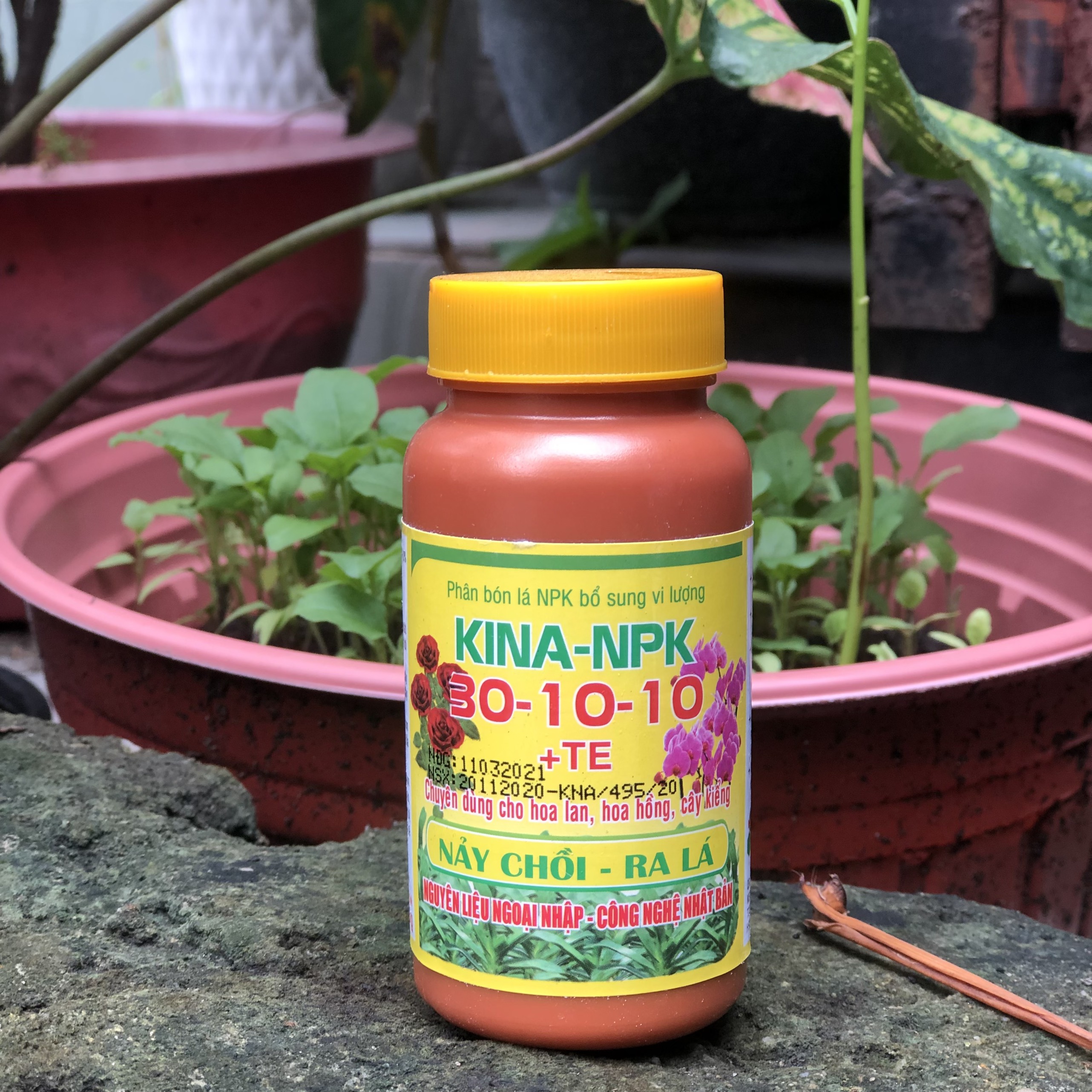 PHÂN BÓN HOA HỒNG HOA LAN NẢY CHỒI RA LÁ KINA -20 NPK 30-10-10+ TE-100g