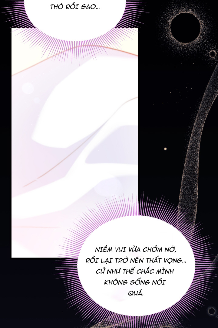 mối liên kết giữa báo đen và bé thỏ chapter 41.1 14