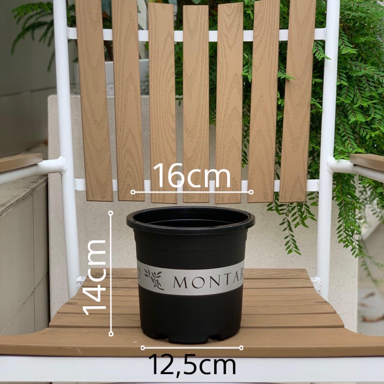 Chậu nhựa trồng cây Vietpot, mã 02, màu đen, hoa văn MONTARIO, chính hãƞg, chậu trồng kiểng lá, hoa hồng, trang trí nhà cửa, ban công, sân vườn, sân thượng