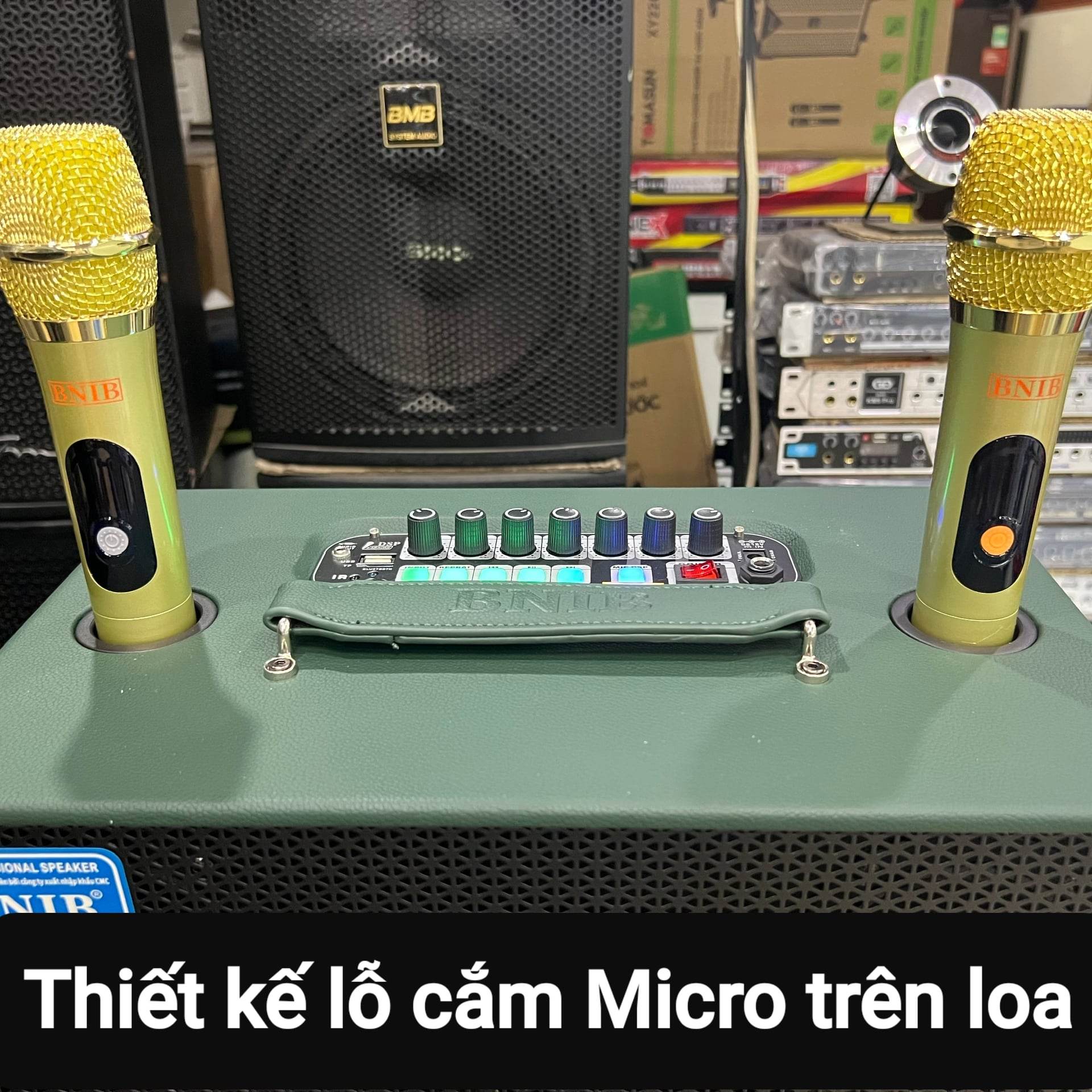 Loa xách tay Karaoke Bluetooth BNIB B-8S: Bass 20, 3 loa, Vỏ gỗ bọc da, Âm thanh chất lượng, Kèm 2 Micro vỏ kim loại