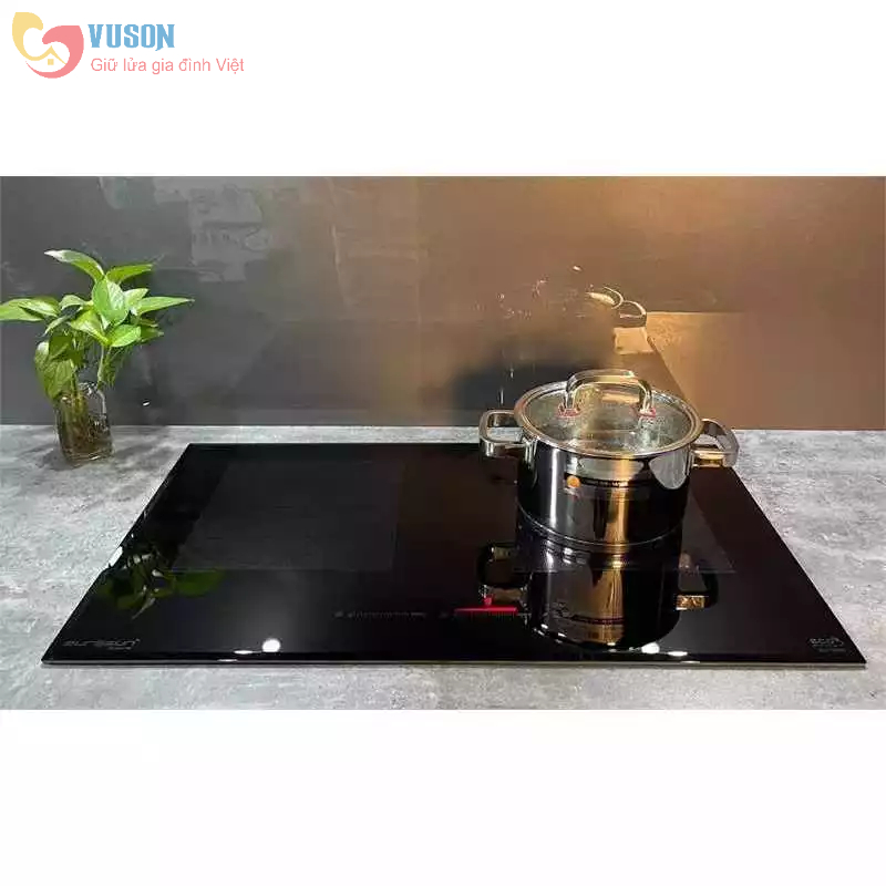 Bếp từ Eurosun EU-T999G - Hàng Chính Hãng