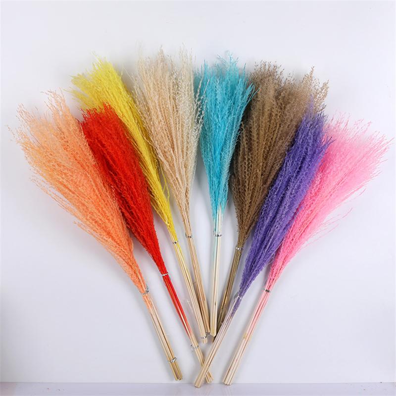 Tự Nhiên Đánh Hoa Khô Reed Pampa Secas Navidad Pampas Cỏ Trang Trí Tiệc Cưới Hoa Déco Artificielles Giáng Sinh