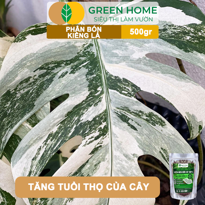 Phân Bón Kiểng Lá GreenHome, Sfarm, Bao 500gr, Chuyên Cho Các Dòng Kiểng Lá Trong Nhà Và Ngoài Trời