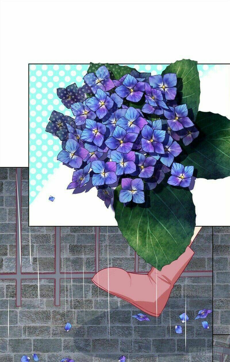 ngạo kiều tổng tài sủng điềm thê chapter 28 19