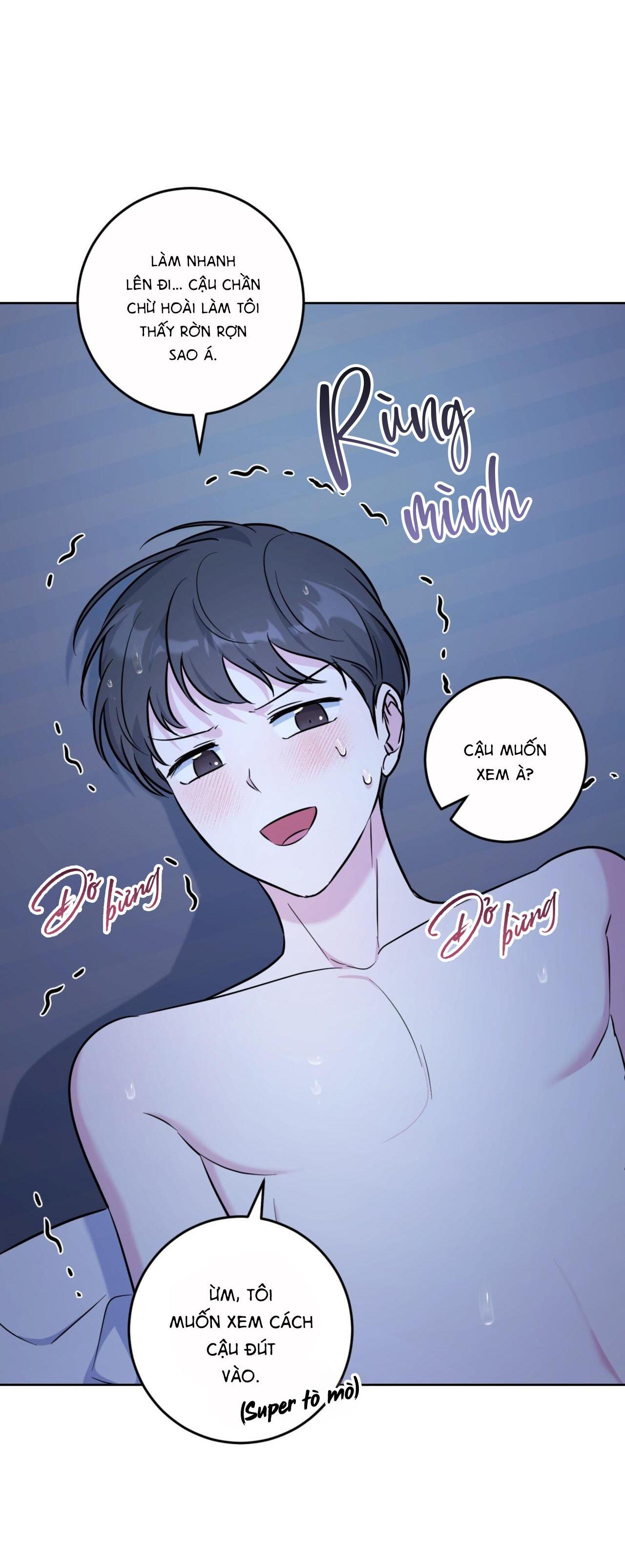 khu rừng tĩnh lặng chapter 20 30