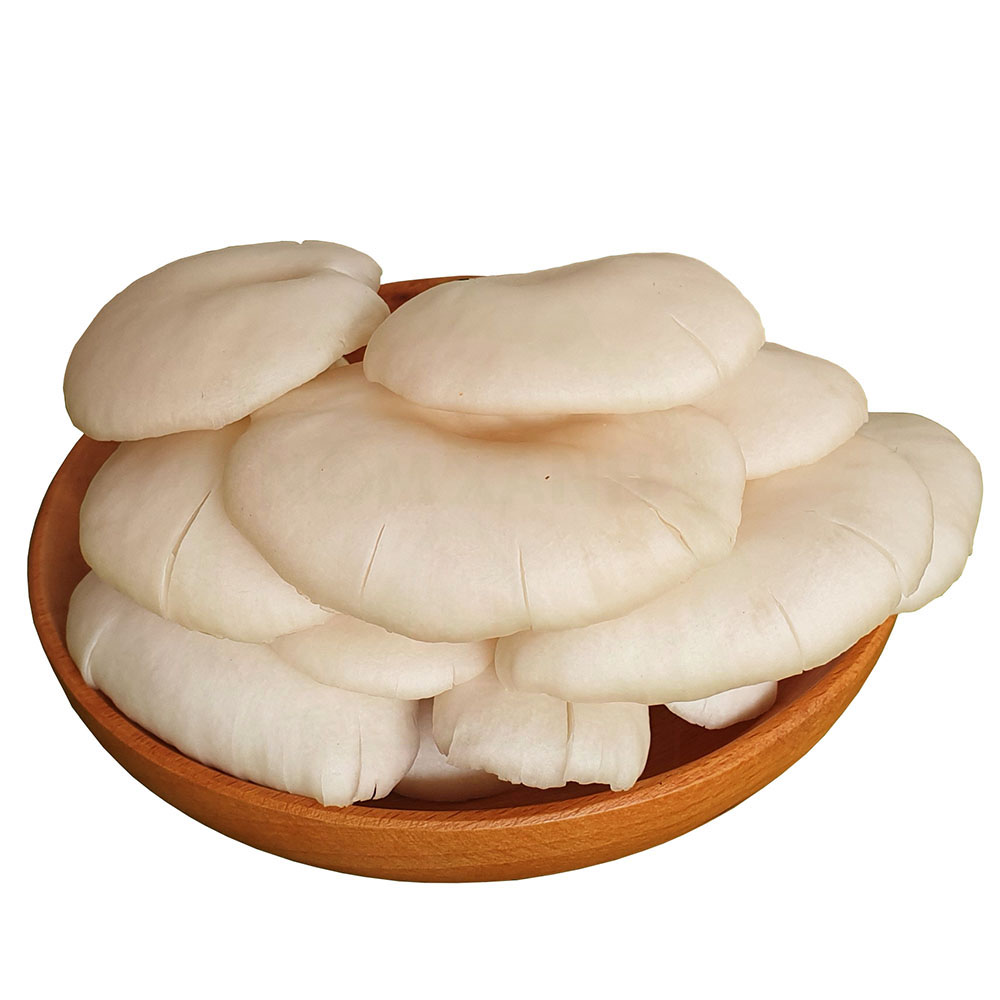 Nấm Sò Trắng Tươi 1kg - Nông Trại Nấm Xanh