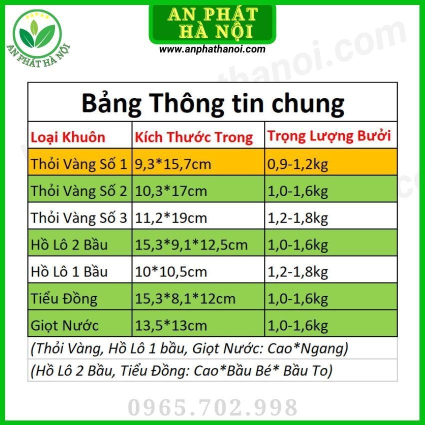 Khuôn Bưởi thỏi vàng số 3 - Bưởi Da Xanh - Khuôn tạo hình trái cây loại đẹp, dày, bền, in chữ TÀI LỘC