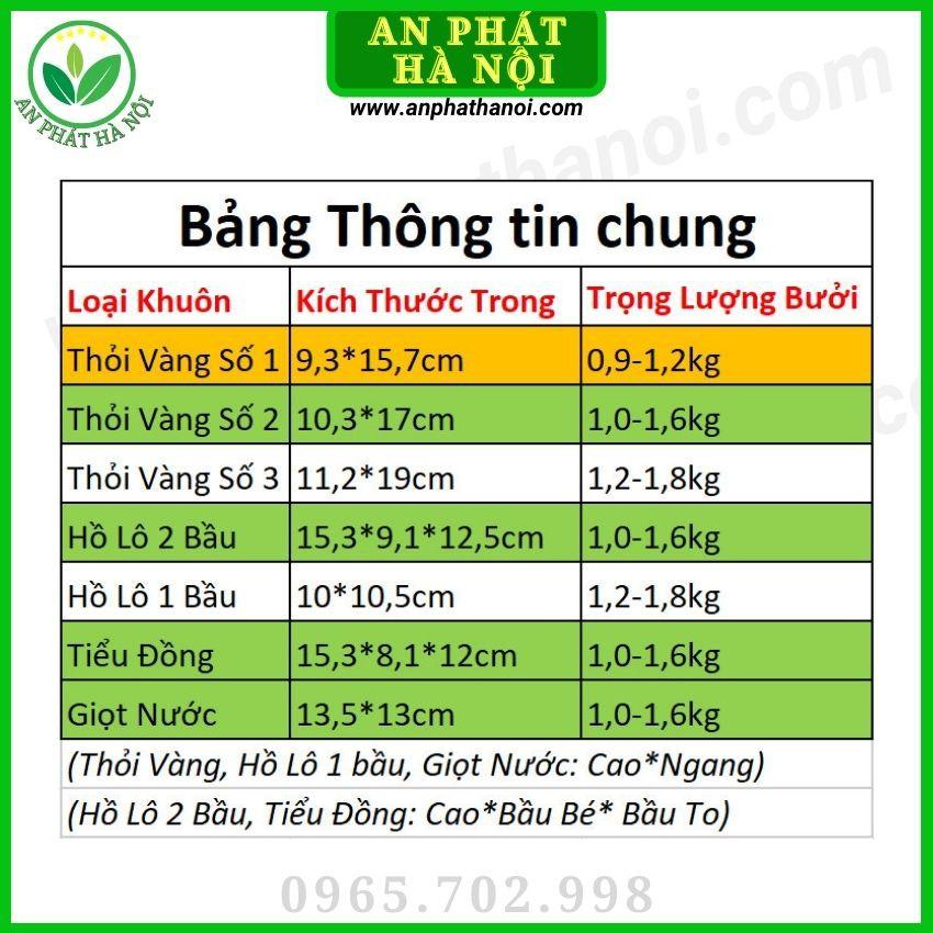 Khuôn Bưởi thỏi vàng số 1 - Khuôn tạo hình trái cây loại đẹp, dày, bền, in chữ nổi TÀI LỘC