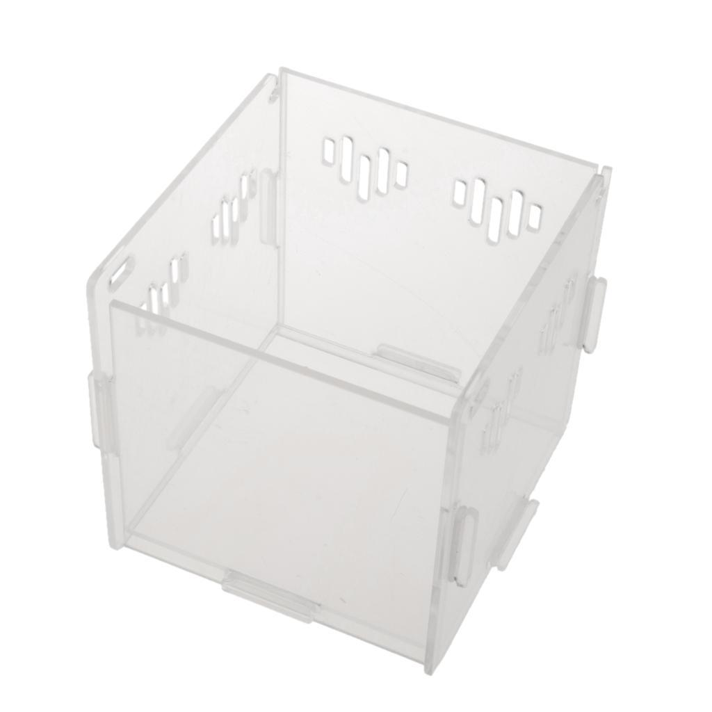 Acrylic Box Crawler Spider Scorpion Centipede Insect Feeding Insect Box - XS