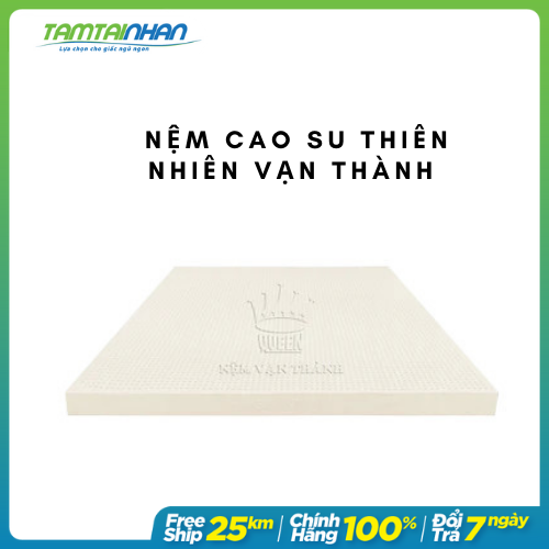 Nệm Cao Su Vạn Thành Standard VTCS1810 (180 x 200 x 10 cm)