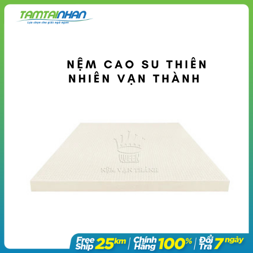 Nệm Cao Su Vạn Thành Standard VTCS1610 (160 x 200 x 10 cm)