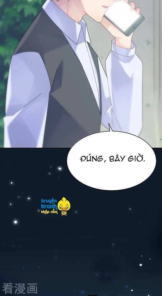 chọc tới chủ tịch tổng tài 2 chapter 70 31