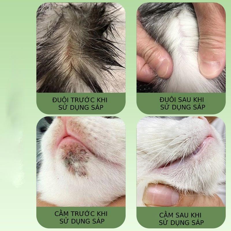 Sáp làm sạch đầu đen, trứng cá , bã nhờn trên da cho mèo