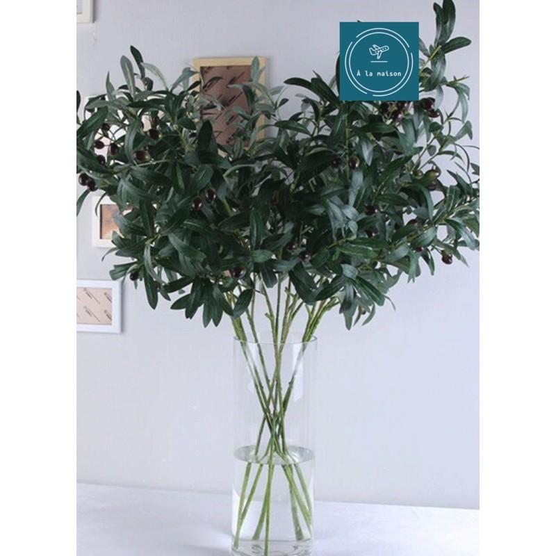 Cành lá olive có quả trang trí nhà, hoa decor chụp ảnh cao cấp