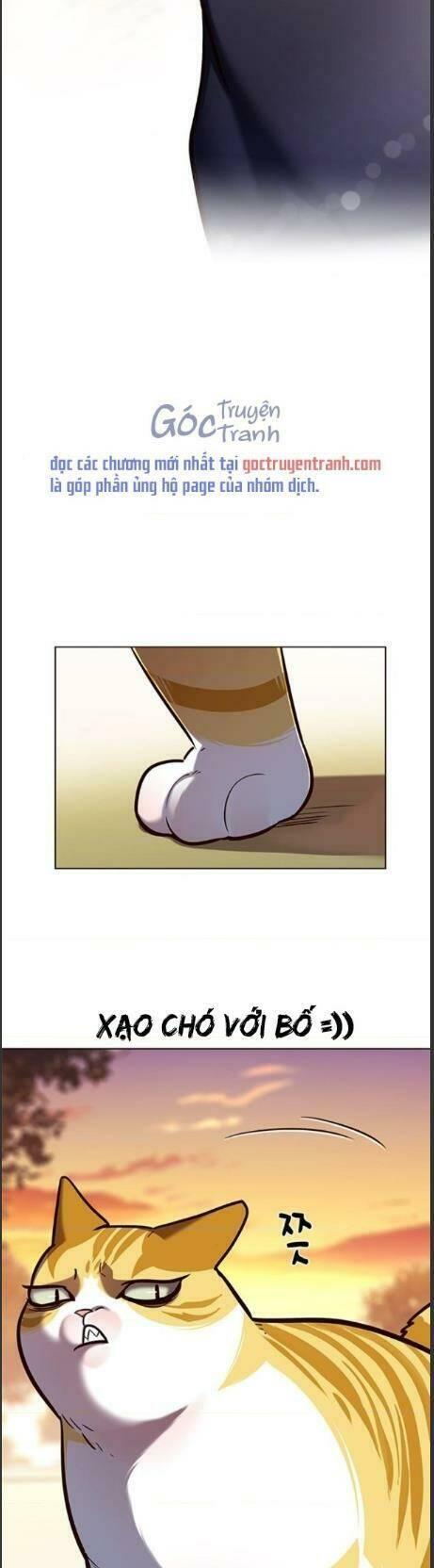 biến thân thành mèo chapter 161 42
