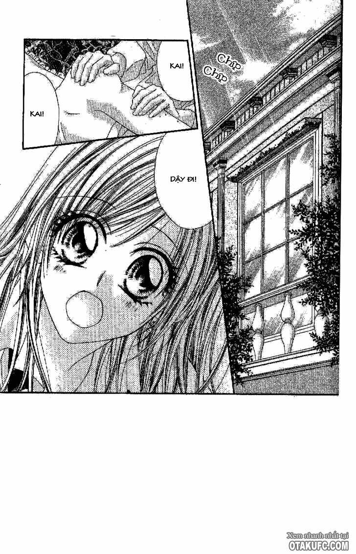 honey x honey drop chapter 24 5