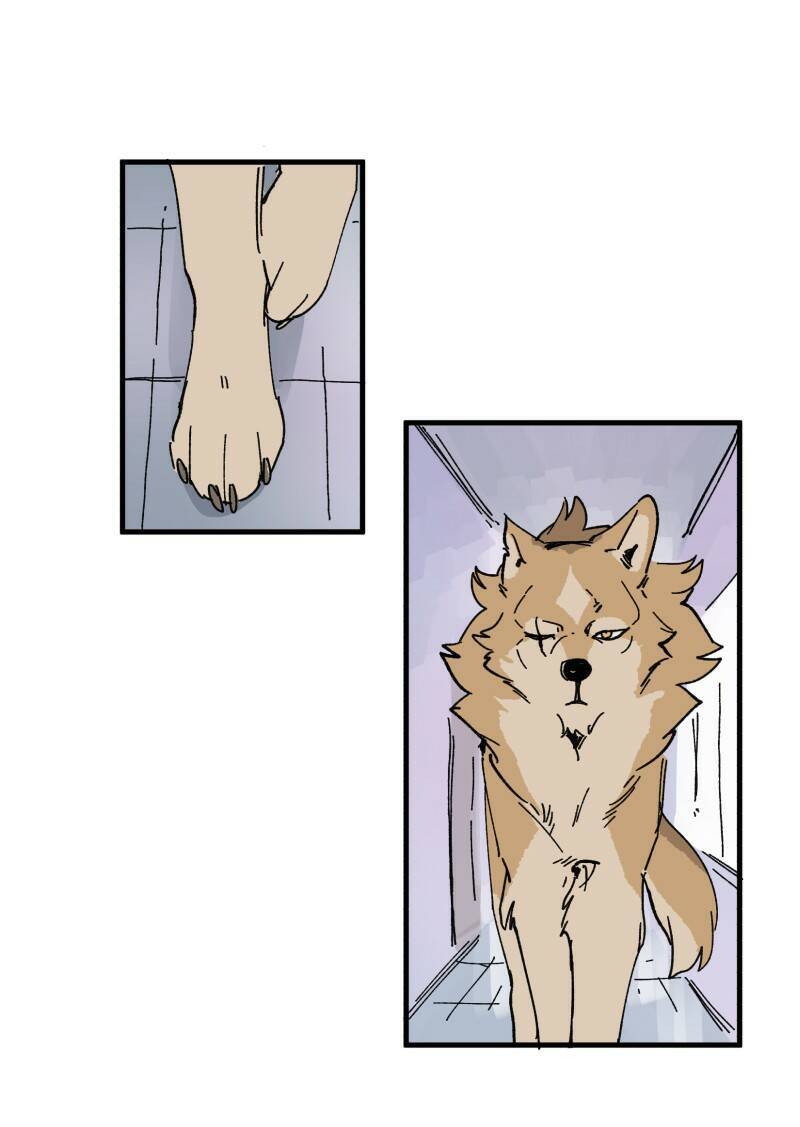 lumine - cội nguồn ánh sáng chapter 148 11