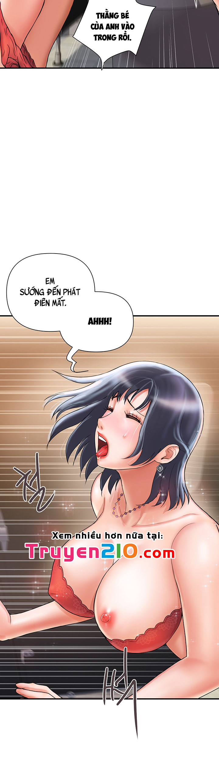 chất dẫn dục chapter 3 10