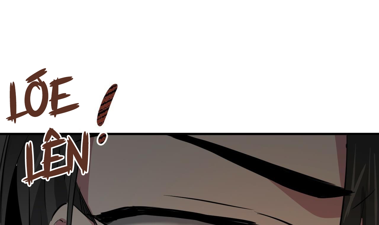 những chú thỏ của hapypy chapter 51 216