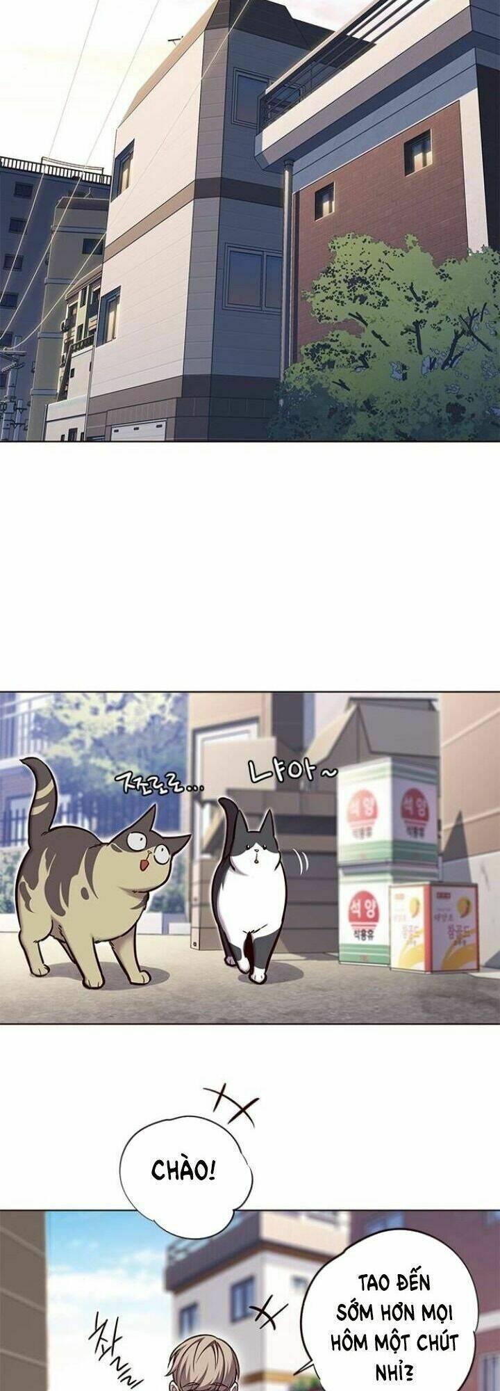biến thân thành mèo chapter 117 9
