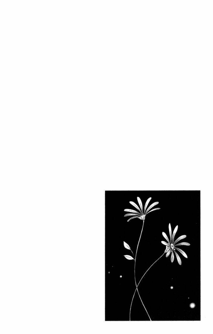 điện kích daisy chapter 30 7