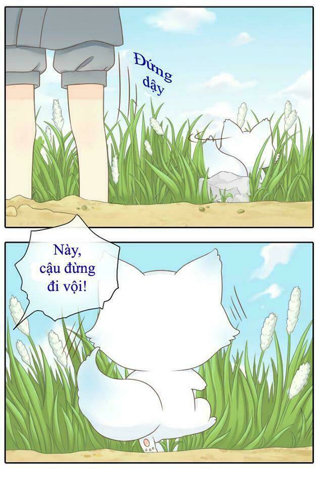 tiểu hồ ly vs tiểu hóa thượng chapter 2 4