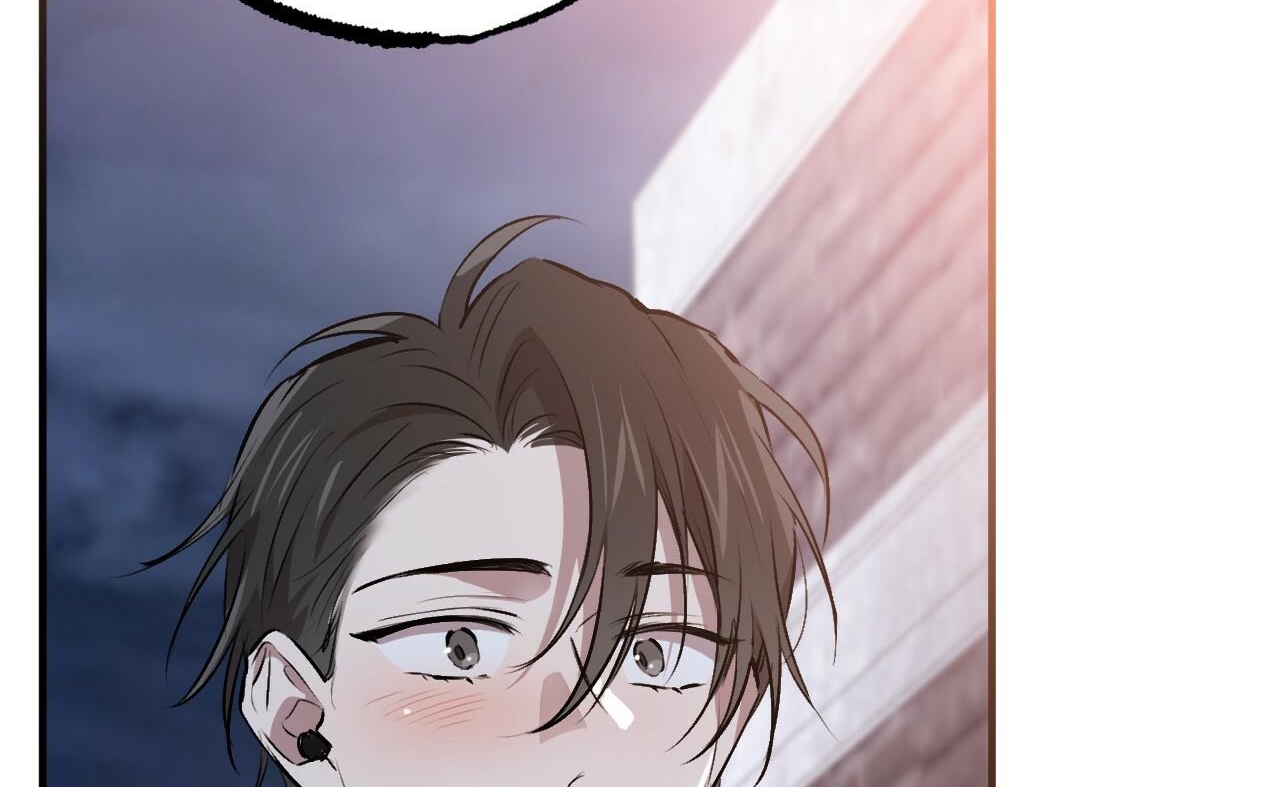 đàn thỏ của habibi chapter 41 109