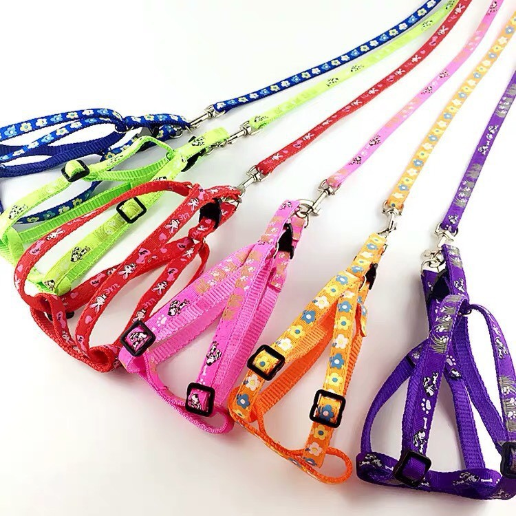 Set dây dắt cho chó 4-8kg