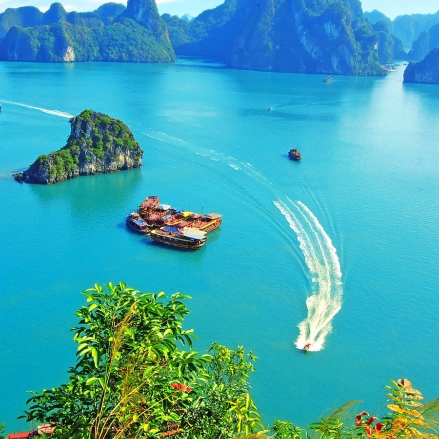 Tour Tham Quan Vịnh Hạ Long 1 Ngày Từ HN , Khởi Hành Hàng Ngày