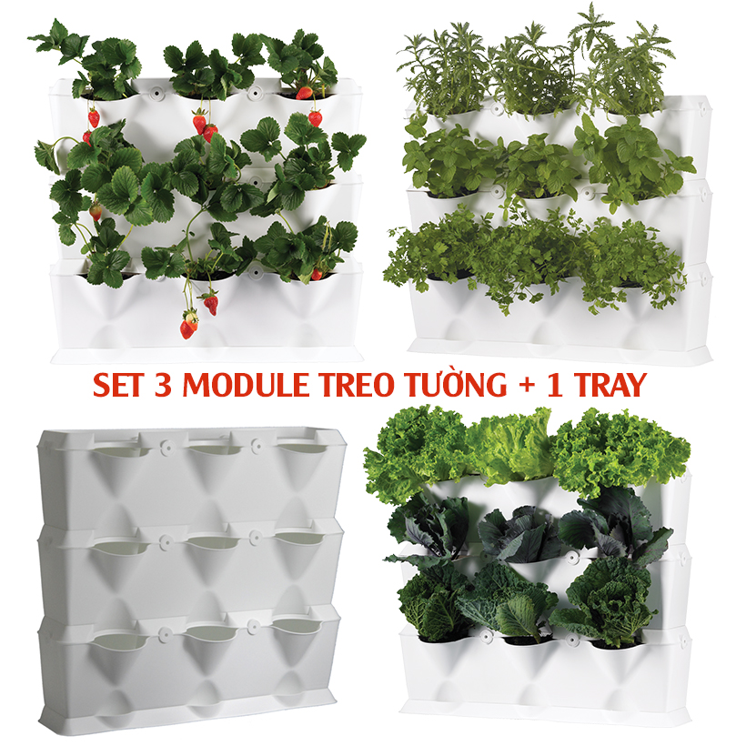 KHUNG TRỒNG RAU SẠCH ĐỨNG TẠI NHÀ CỦA CHÂU ÂU dễ dàng lắp đặt và di chuyển. Không kèm hệ thống tưới nhỏ giọt