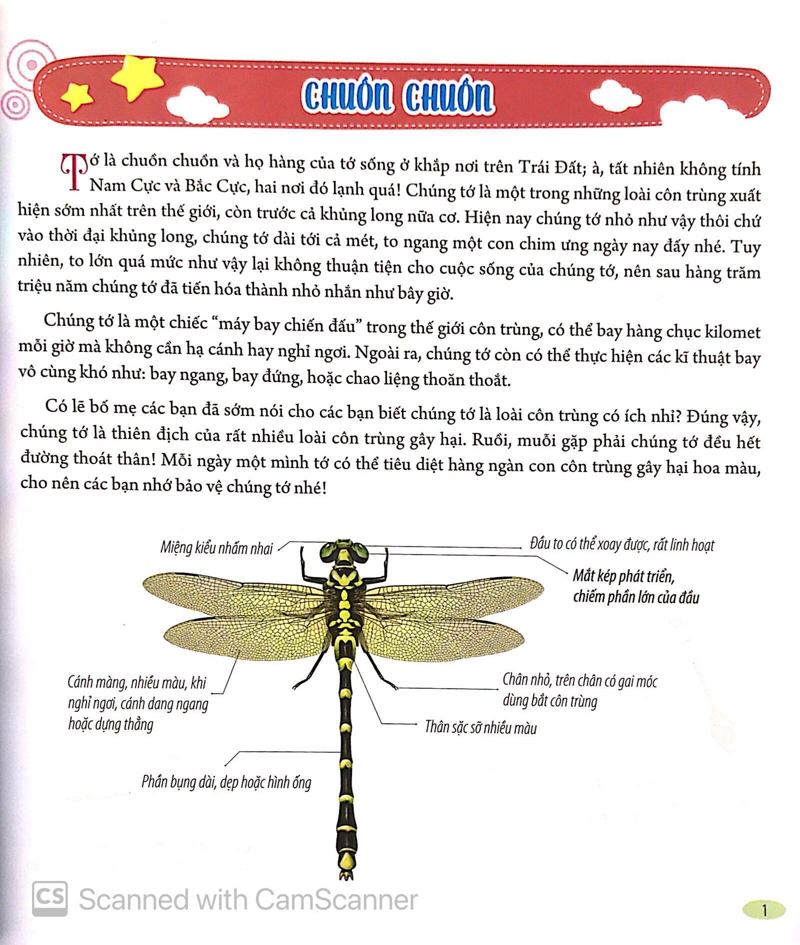 Bộ Sách Bách Khoa Động Vật Dành Cho Trẻ Nhỏ
