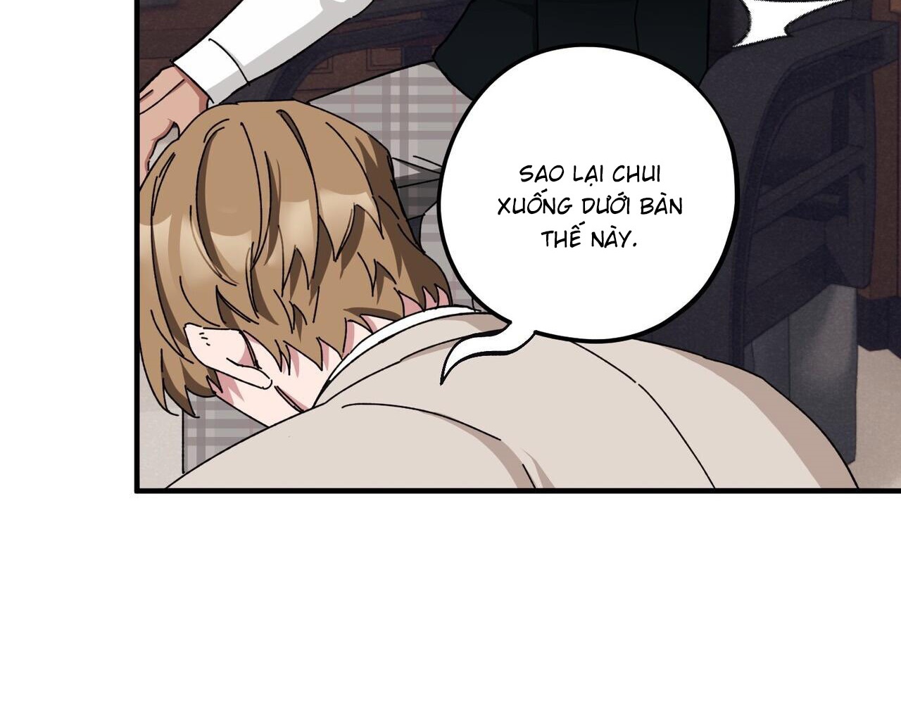 chàng dâu nhà họ kang chapter 37 87