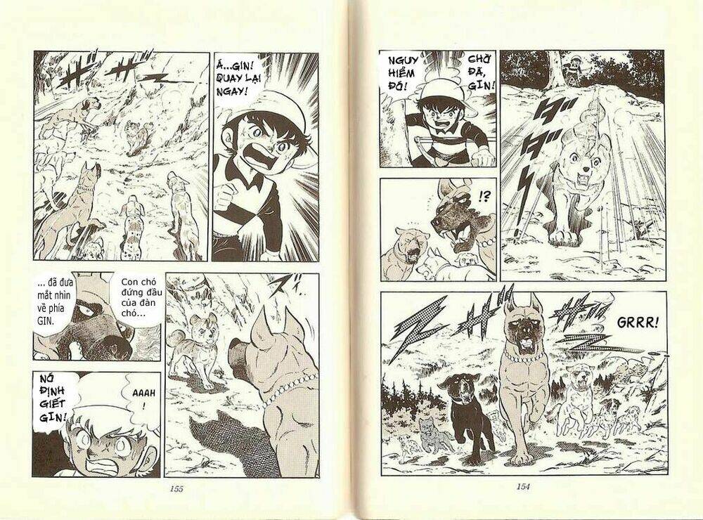 chú chó có nghĩa - ginga nagareboshi gin chapter 9 19