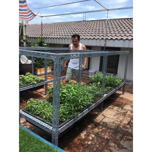 khung kệ sắt trồng rau sạch, 2 tầng cho 10 khay trồng rau kích thước khay R43cm x D 67cm ( kệ ko bao gồm chậu)
