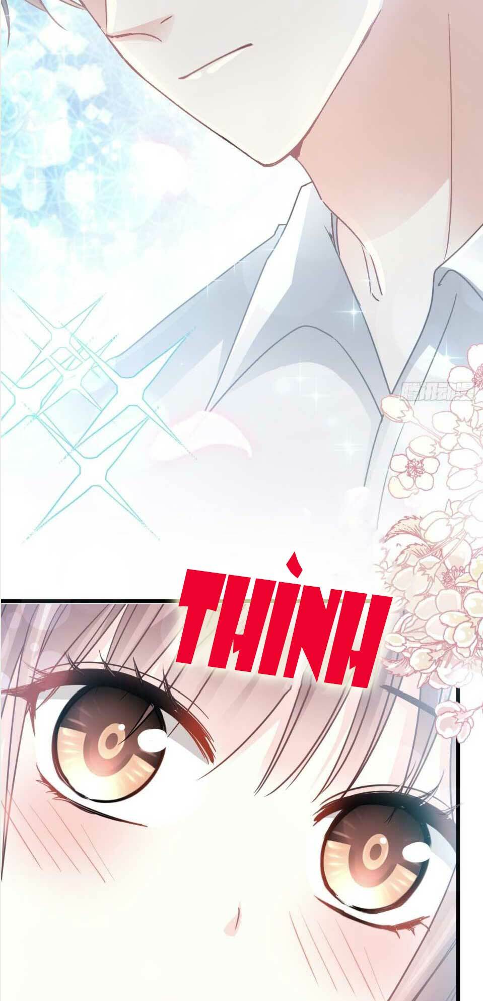 bá đạo tổng tài nhẹ nhàng yêu chapter 54.2 11