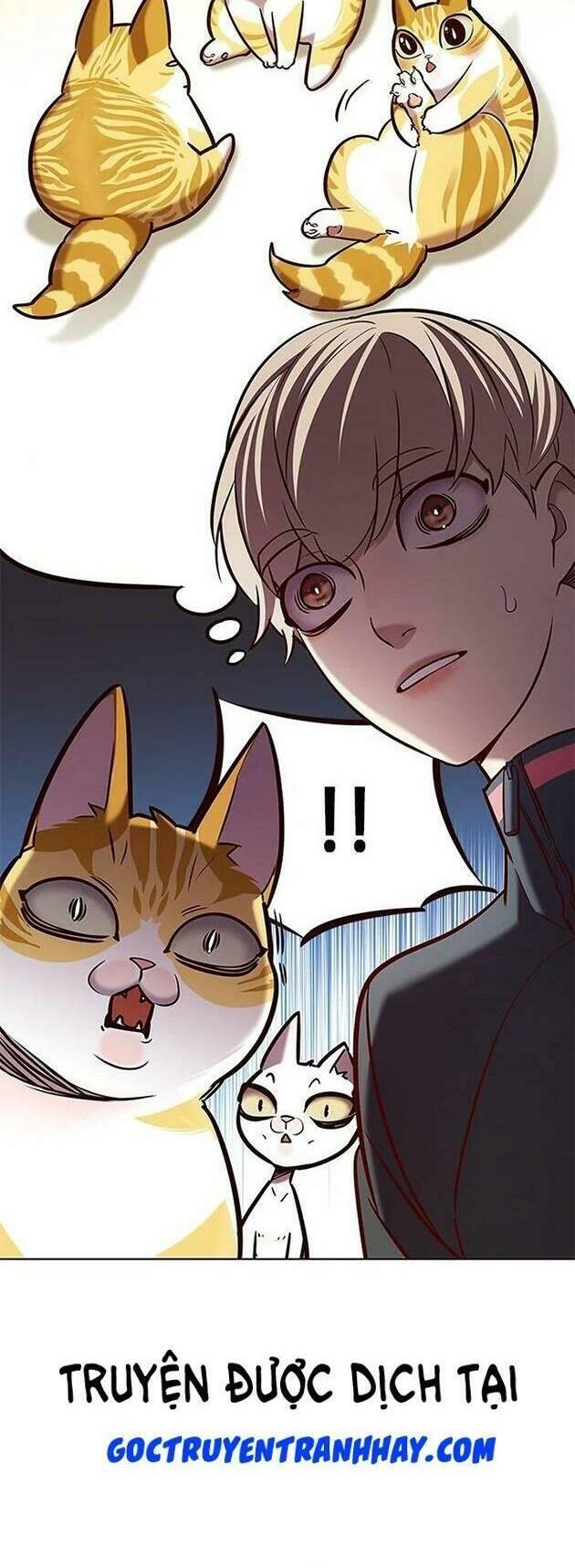 biến thân thành mèo chapter 196 32
