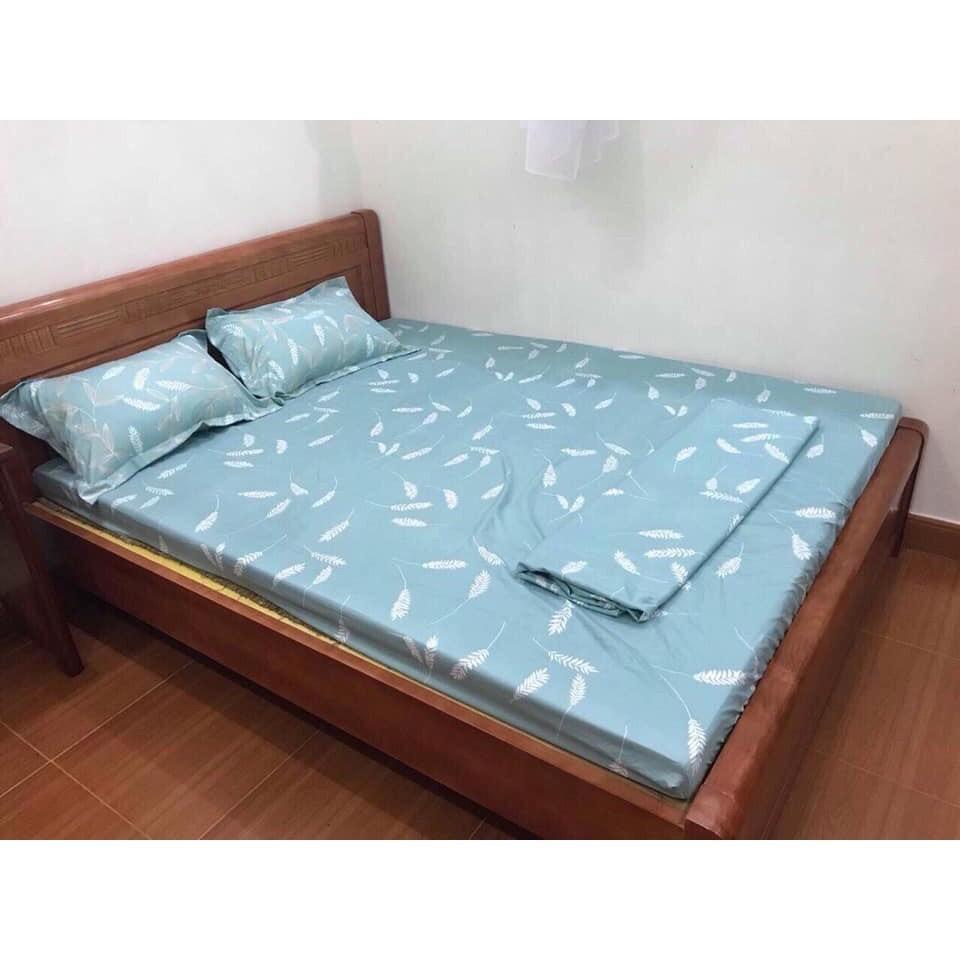 Bộ Ga Gối RIOTEX 4 Món Chất Cotton Cao Cấp Kích Thước 1m2/1m4/1m6/1m8 - Lá Ngọc