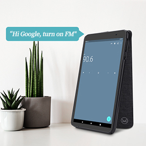 Tính năng Google Assistant máy tính bảng Vankyo S8