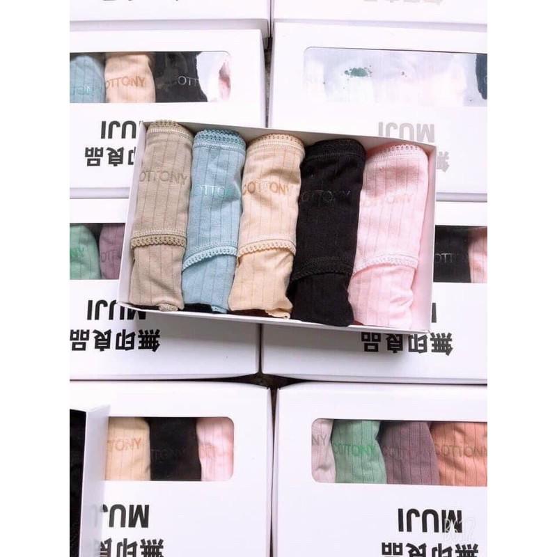 5 quần lót cotton tăm kháng khuẩn