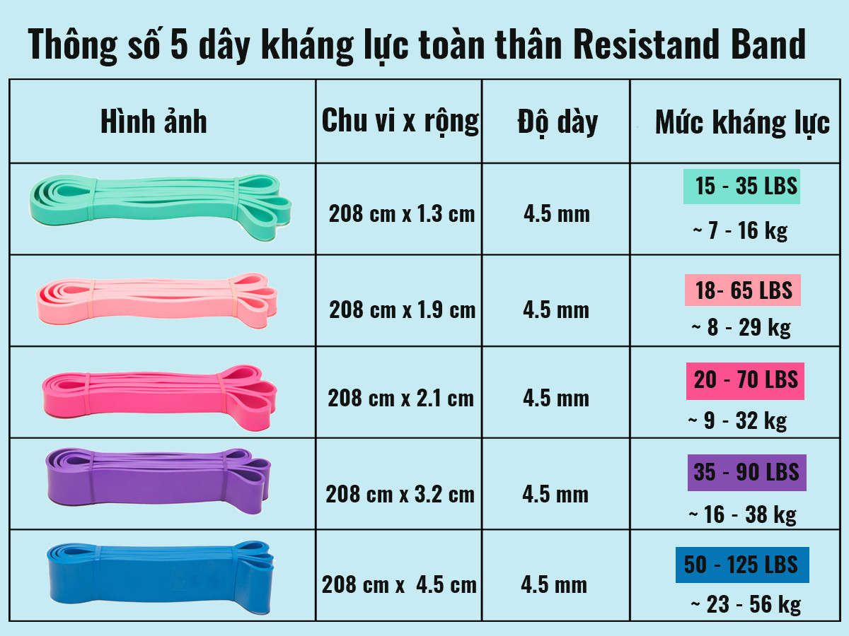 Dây Đàn Hồi Cao Su Resistance Bands Kích Thước Chu Vi 208cm