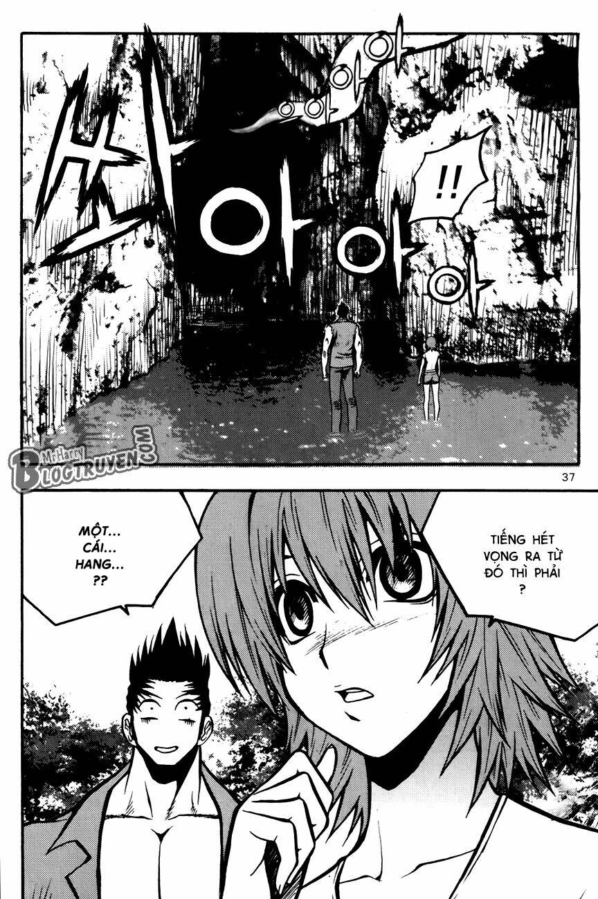 zippy ziggy chapter 79 15