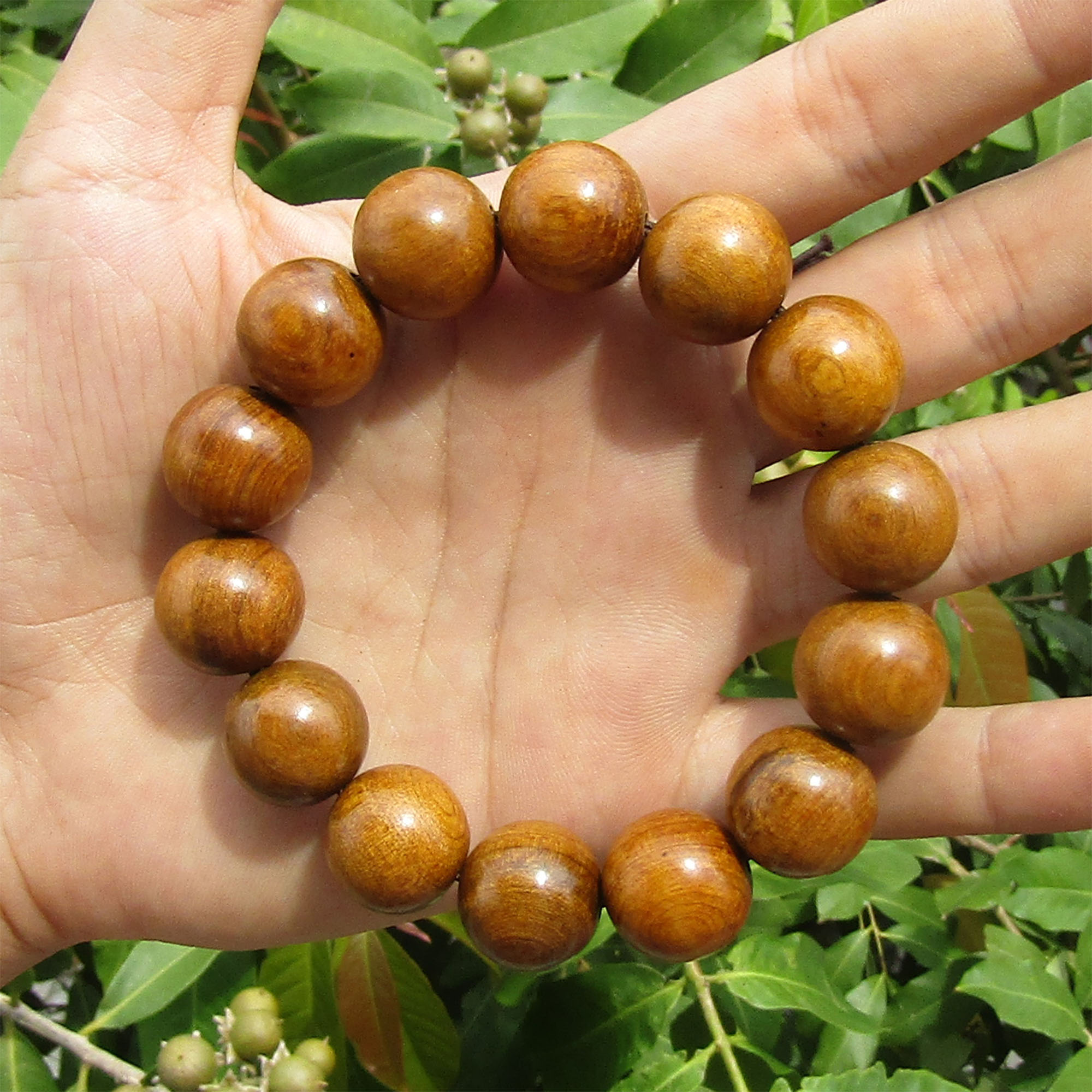 Vòng Gỗ Bách Xanh Tokdodo - 16 Ly - Vòng Tròn