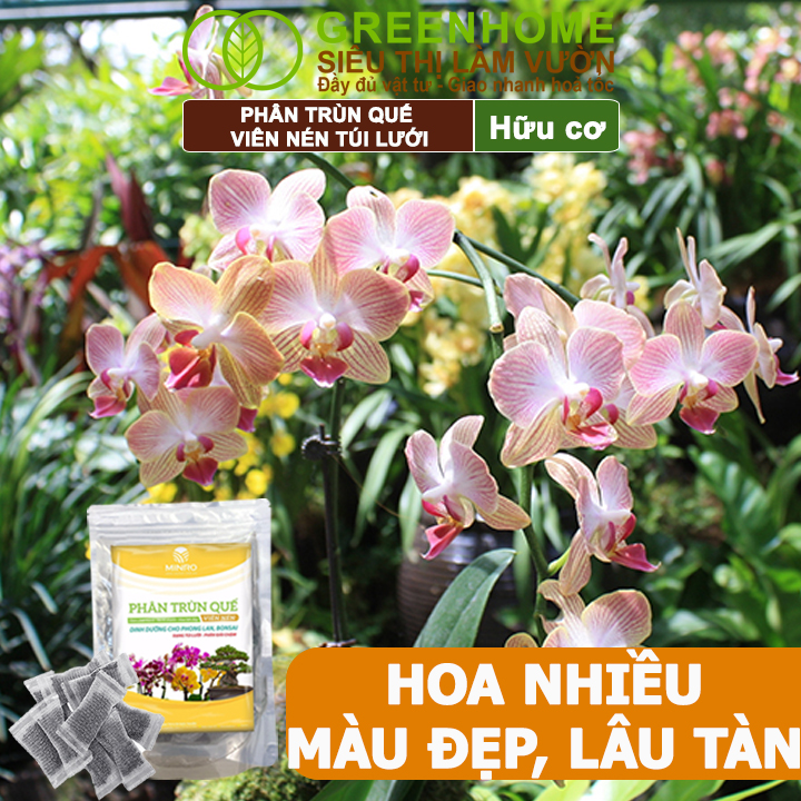 Phân Trùn Quế Viên Nén Greenhome, Lavamix, Túi lưới, Dinh Dưỡng Hữu Cơ, Không Mùi, Tốt Cho Lan, Bonsai, Rau