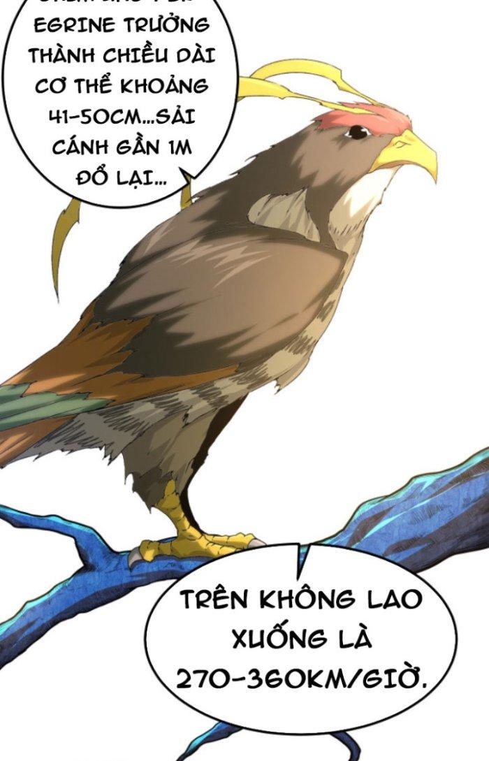 từ cây cổ thụ bắt đầu tiến hóa chapter 2 8