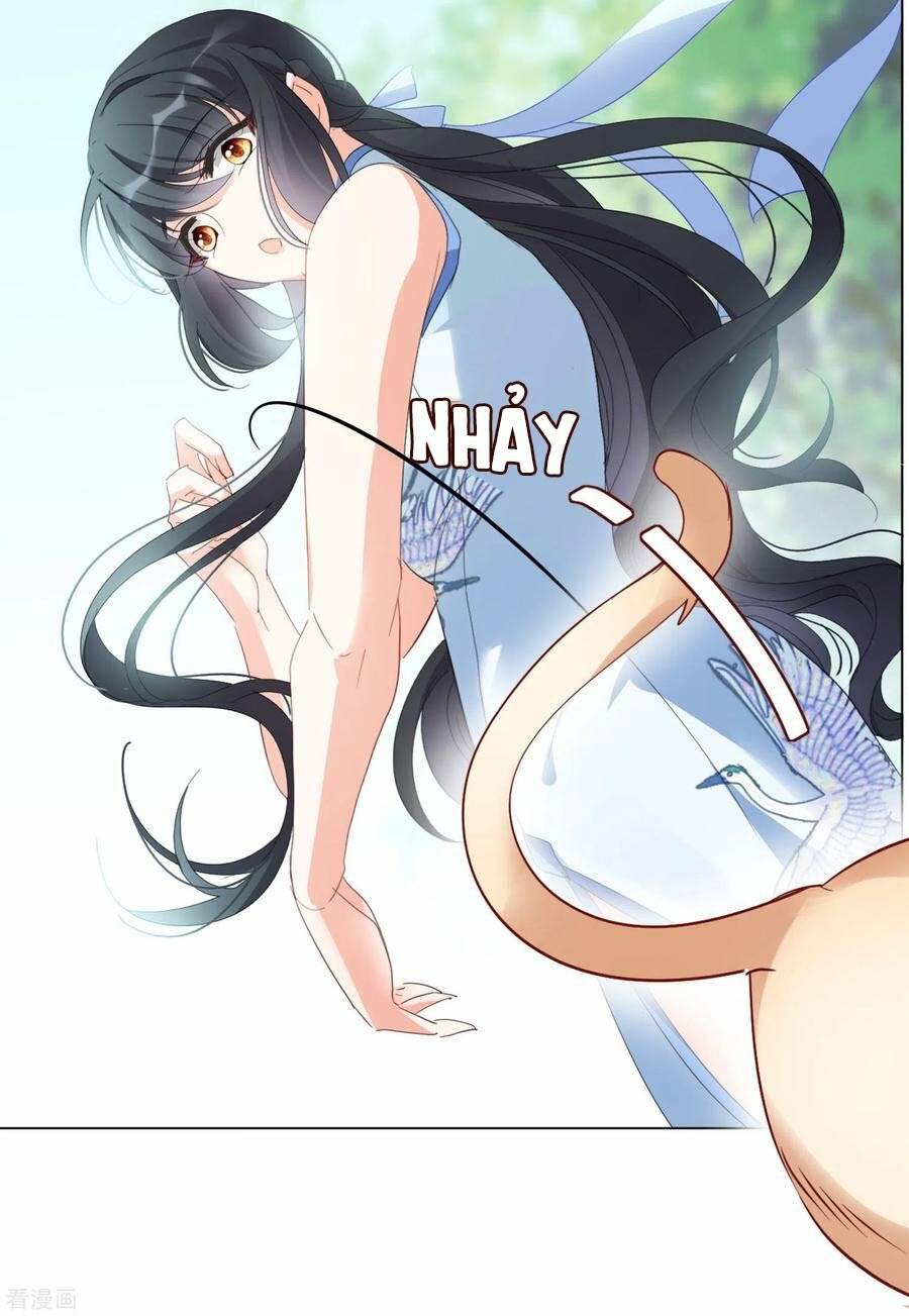 cô ấy đến rồi, xin nằm xuống! chapter 69 28