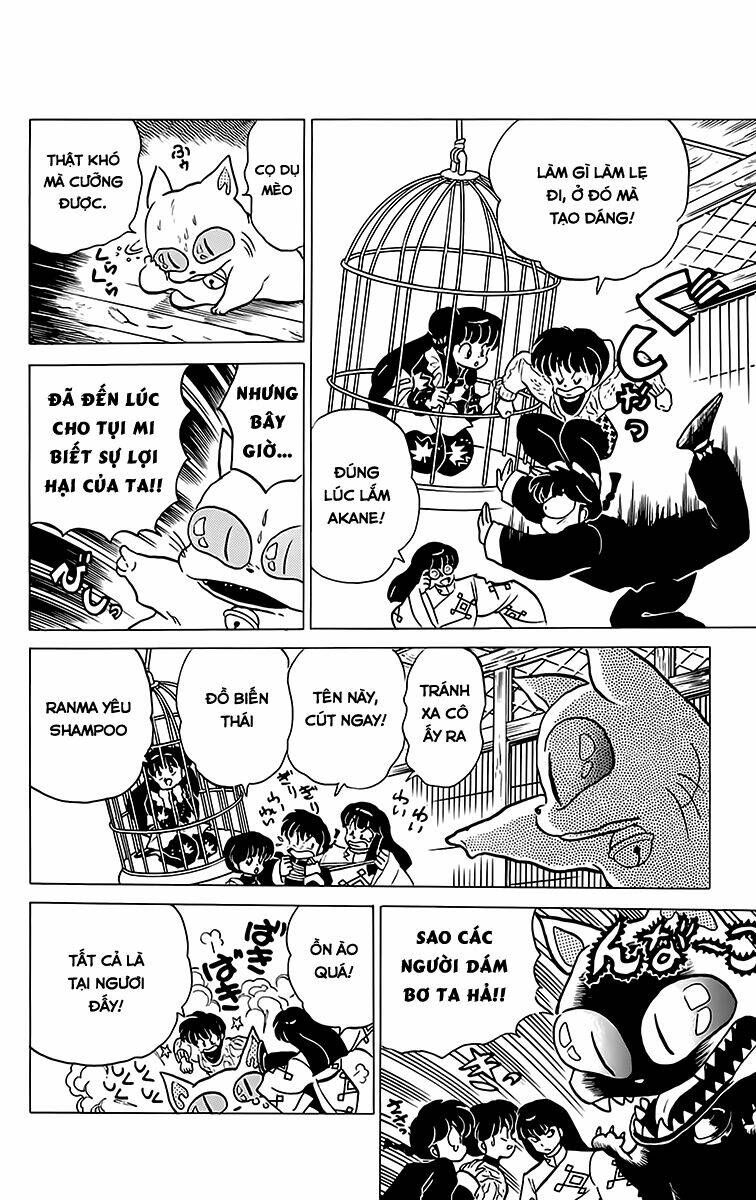 suối lời nguyền chapter 209 10