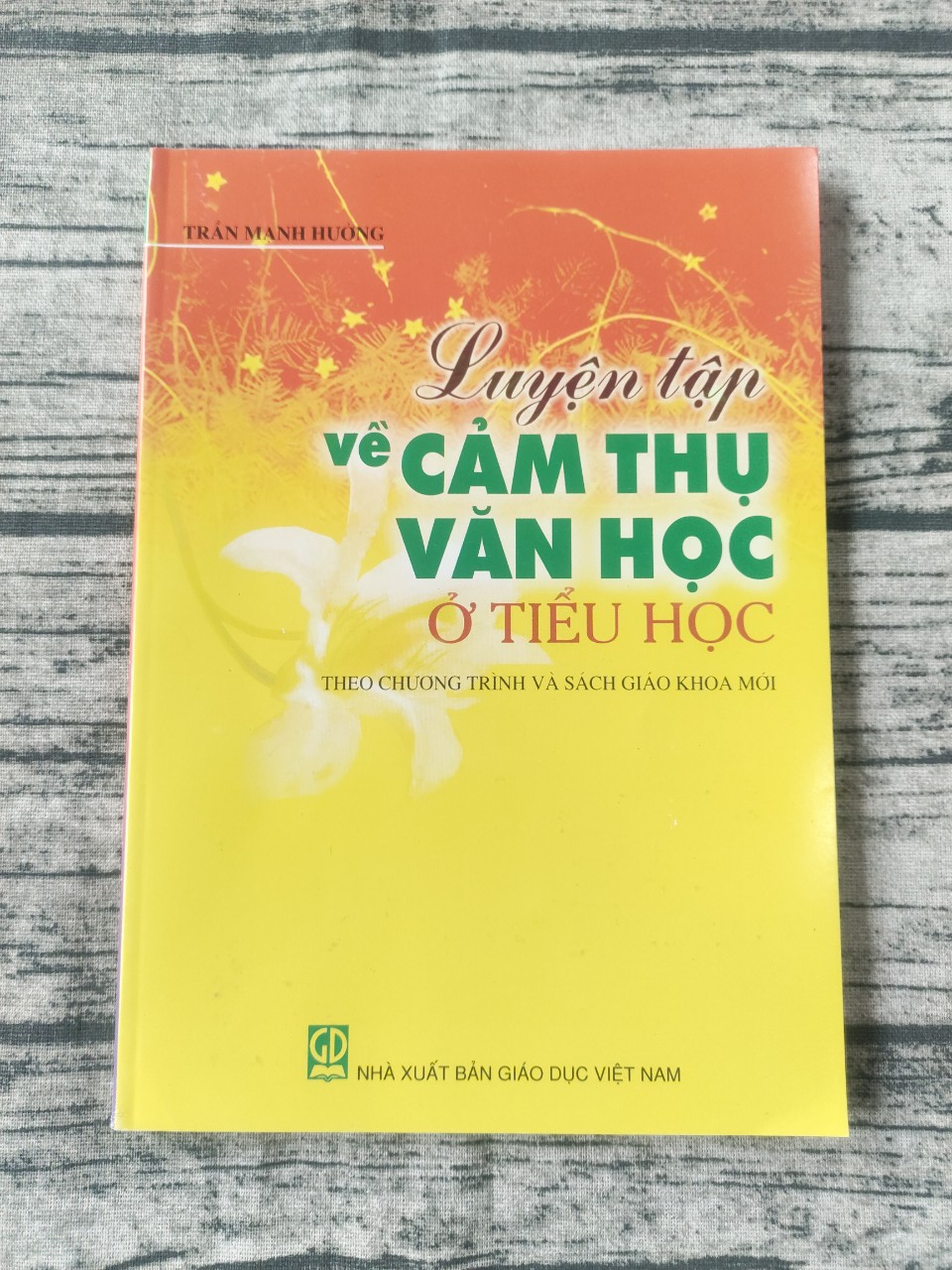 Sách Luyện tập về Cảm thụ văn học ở tiểu học